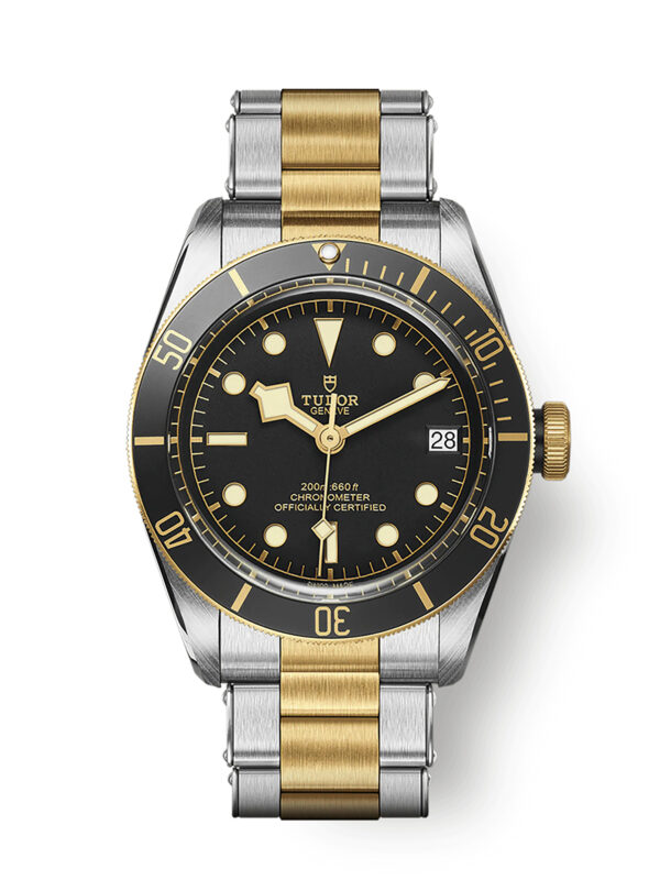 TUDOR BLACK BAY S&G 41 MM