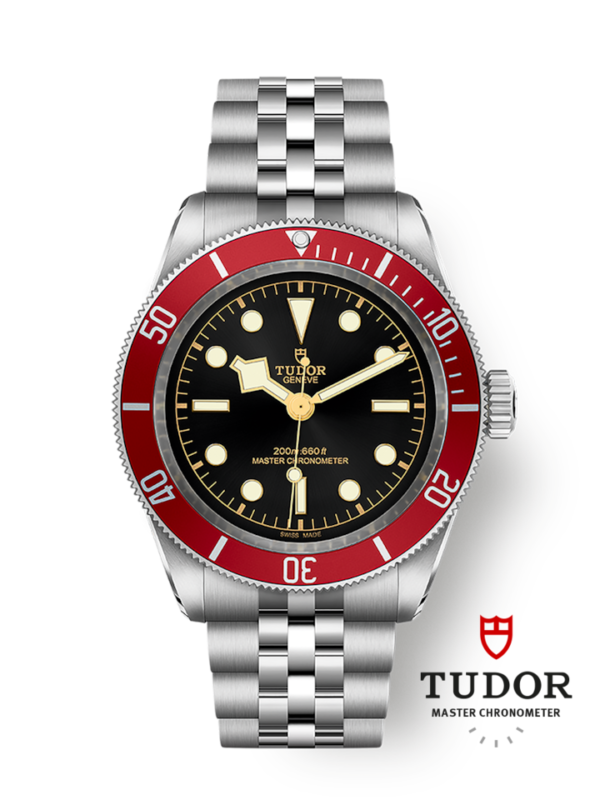 TUDOR BLACK BAY 41